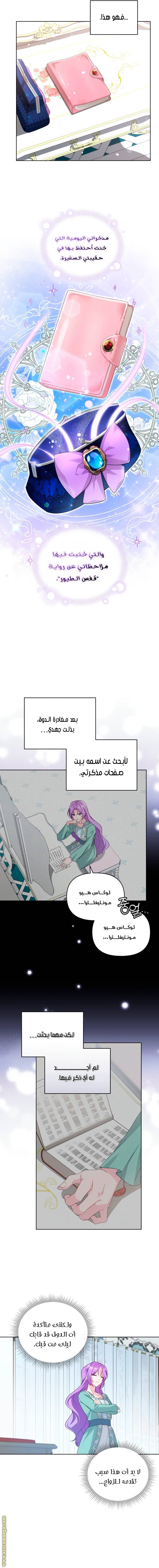 الصفحة 12
