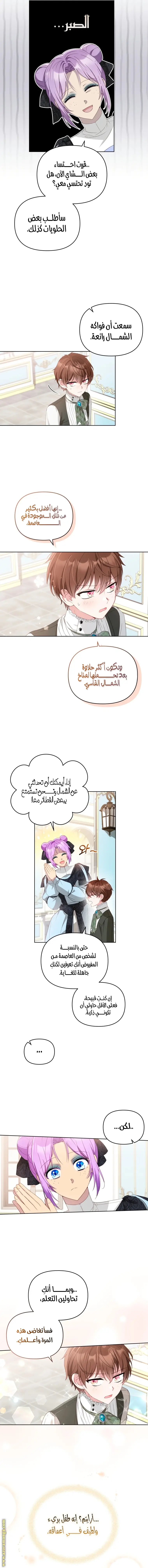 الصفحة 8