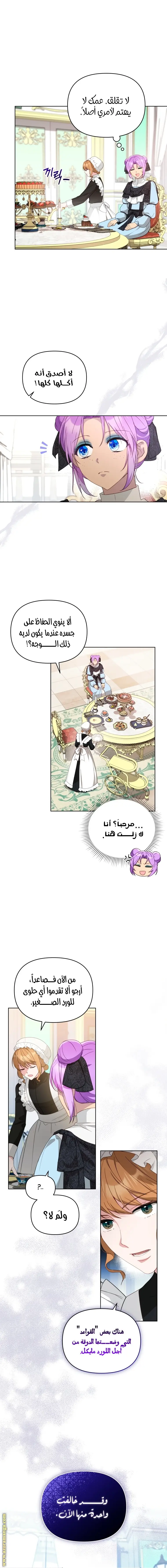 الصفحة 13