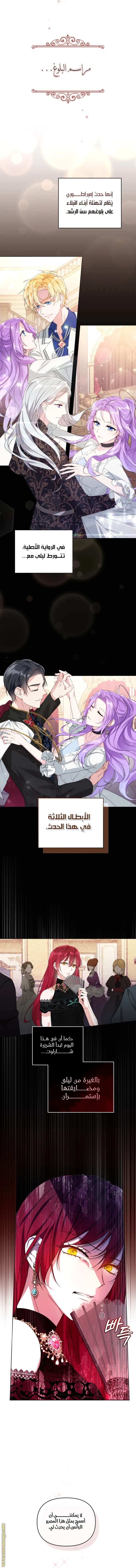 الصفحة 3