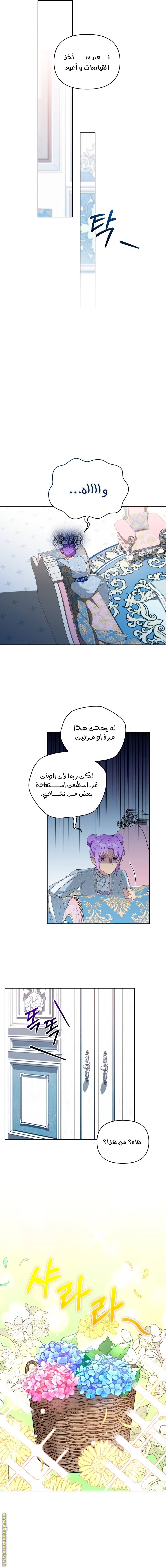 الصفحة 11
