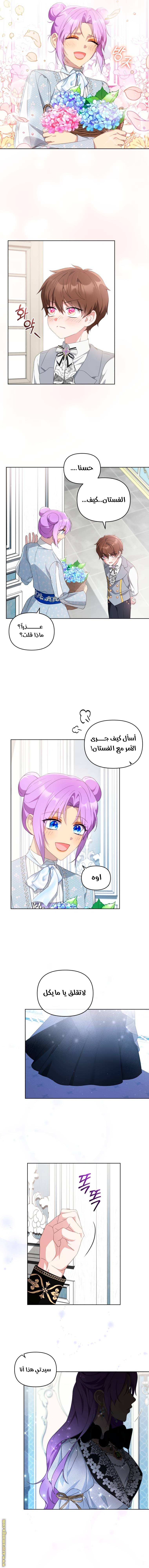 الصفحة 13