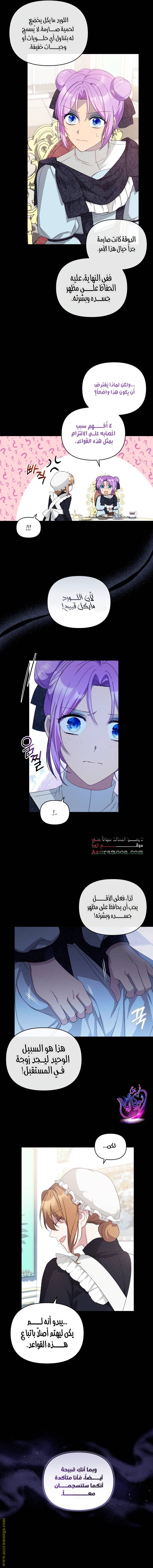 الصفحة 3