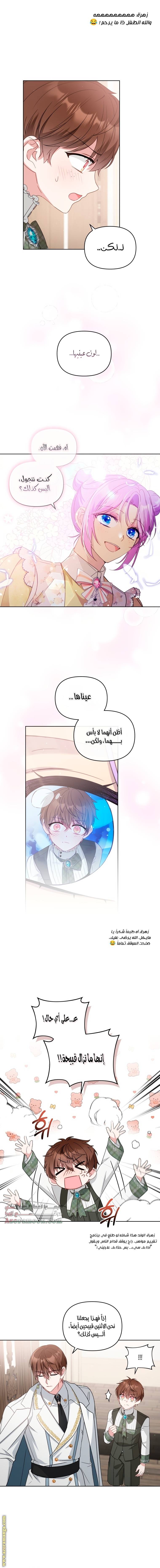 الصفحة 8
