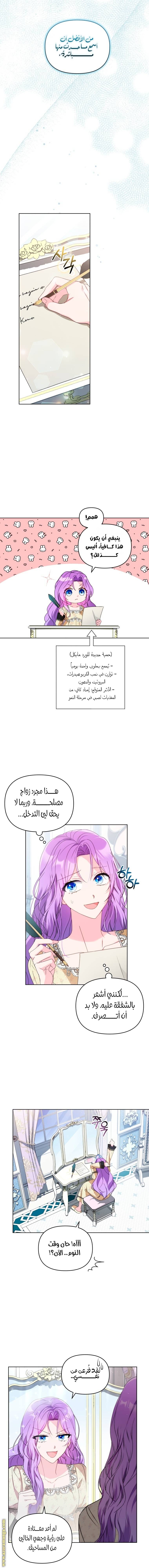 الصفحة 13