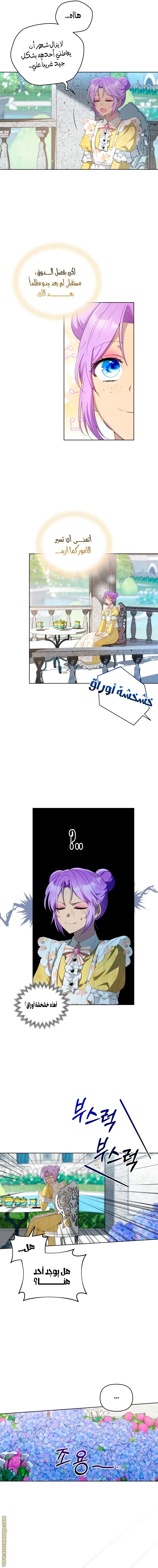 الصفحة 13