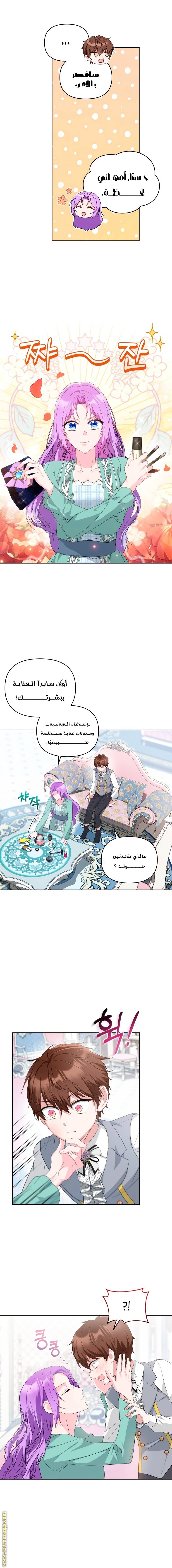 الصفحة 11