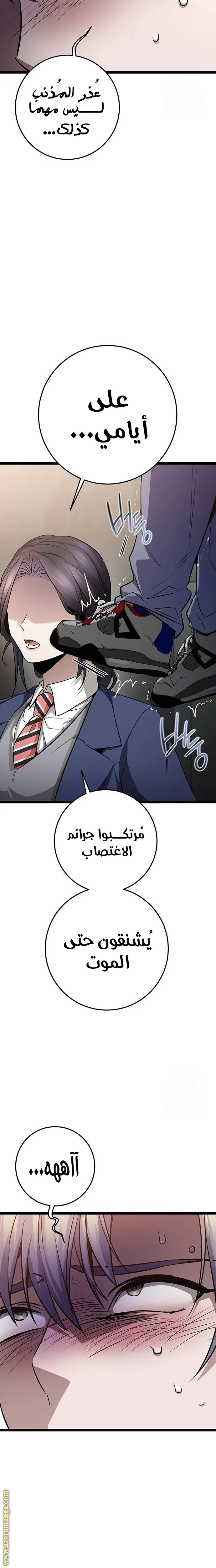 الصفحة 13