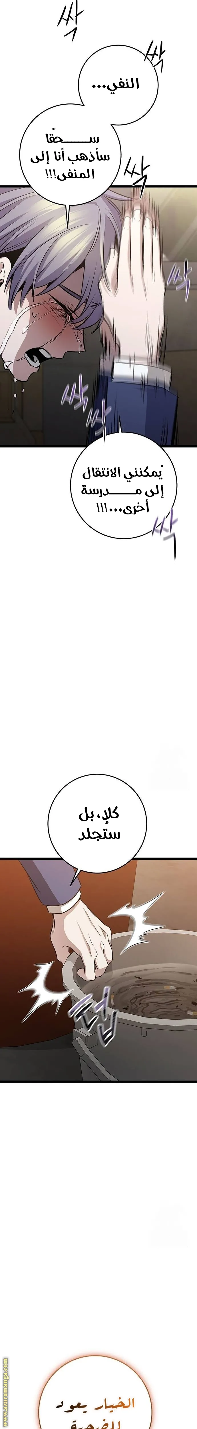 الصفحة 25
