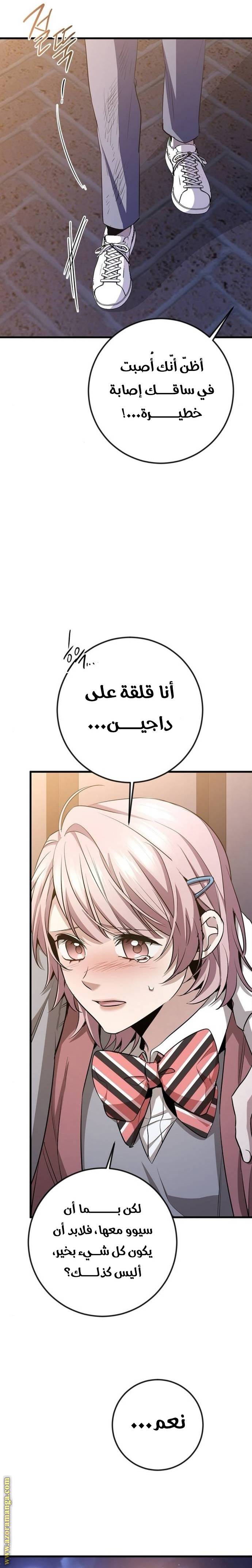الصفحة 17