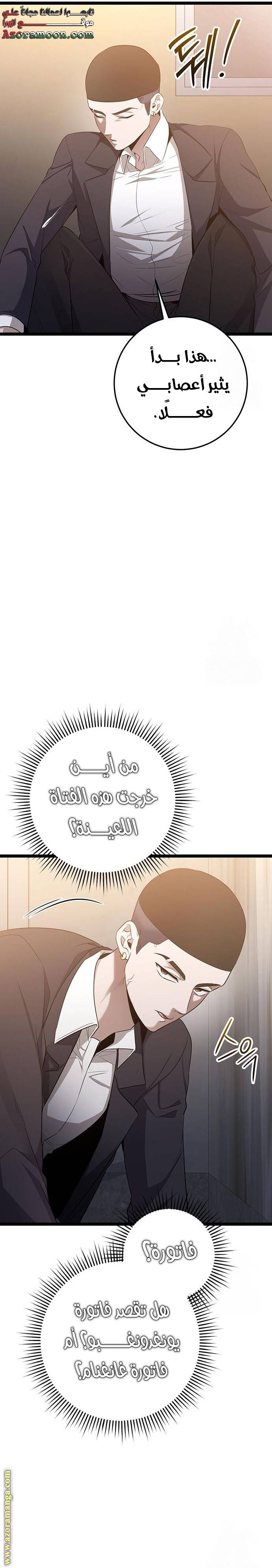 الصفحة 17