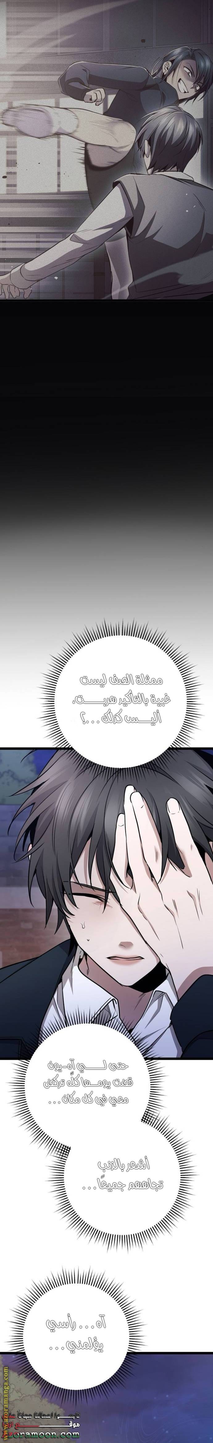 الصفحة 17