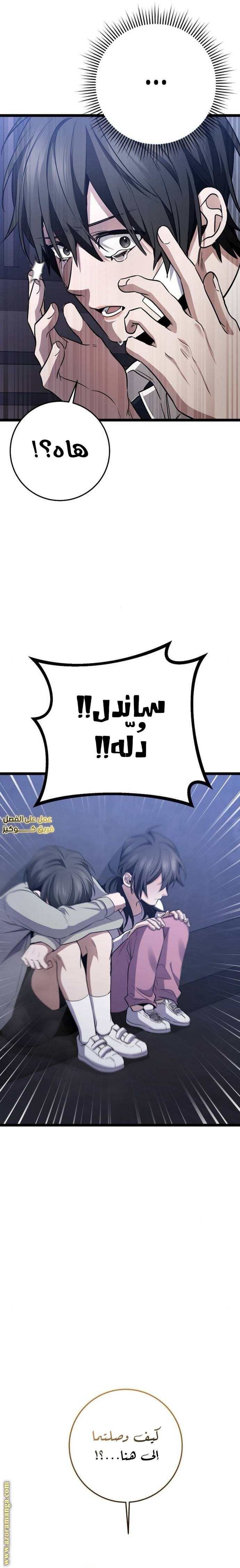 الصفحة 20