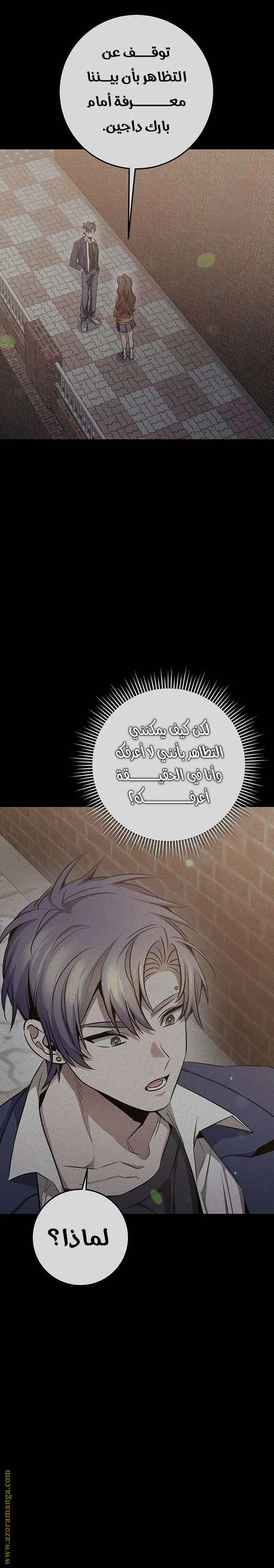 الصفحة 17
