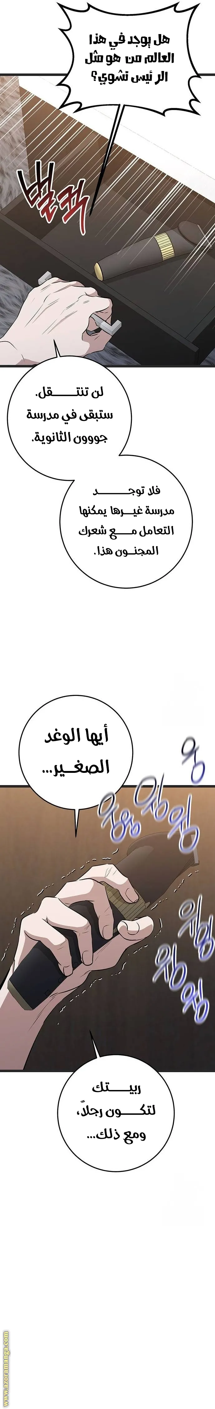 الصفحة 29