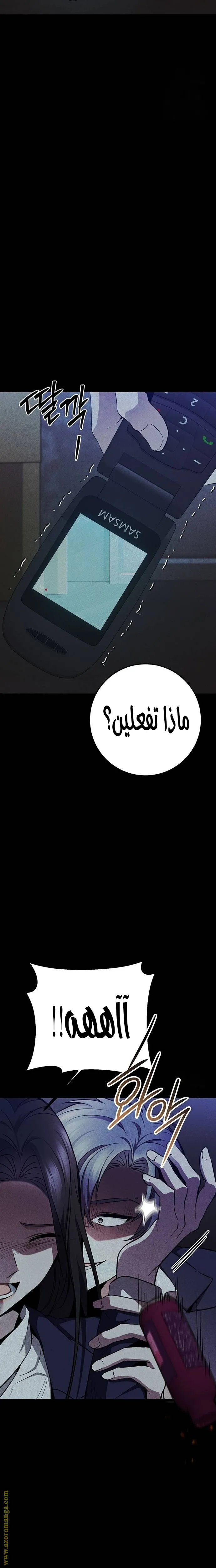 الصفحة 15