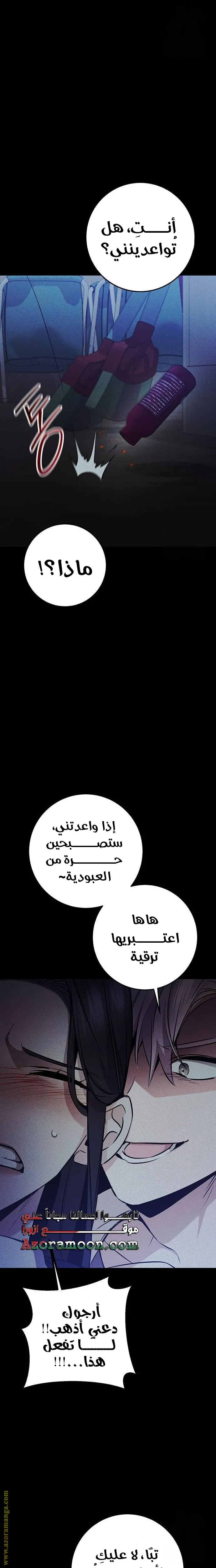 الصفحة 16
