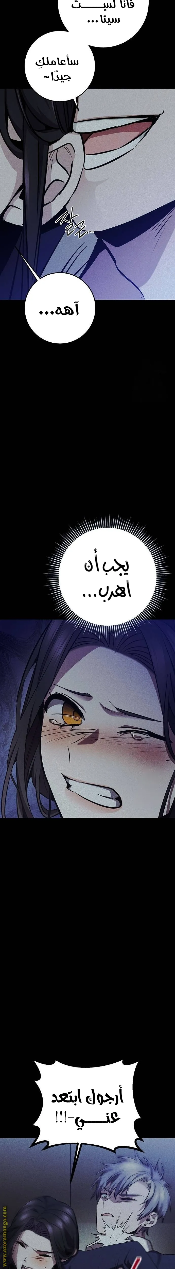 الصفحة 17