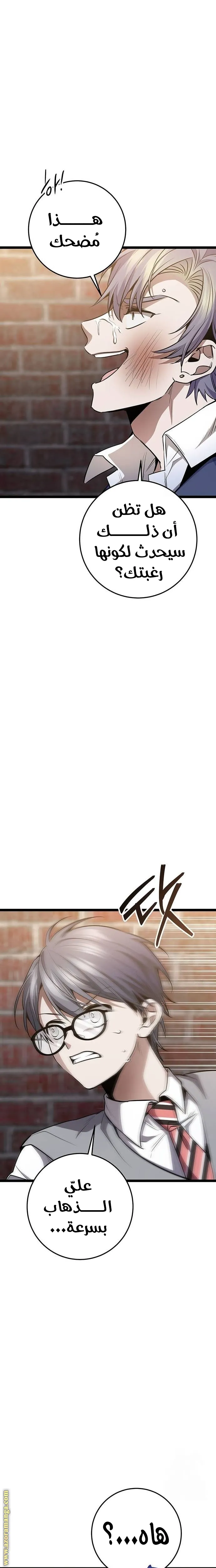 الصفحة 17