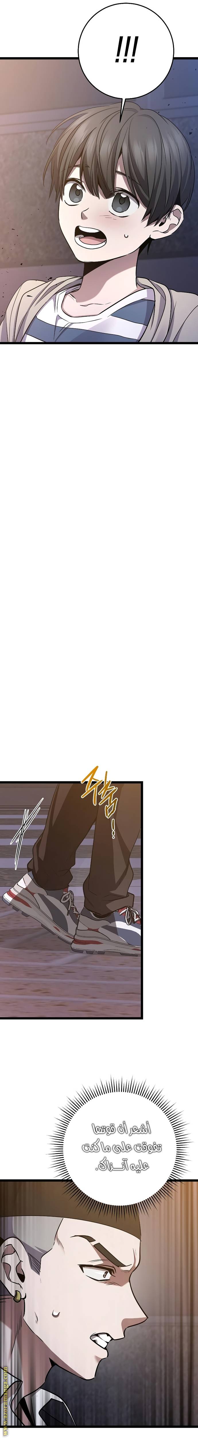 الصفحة 13