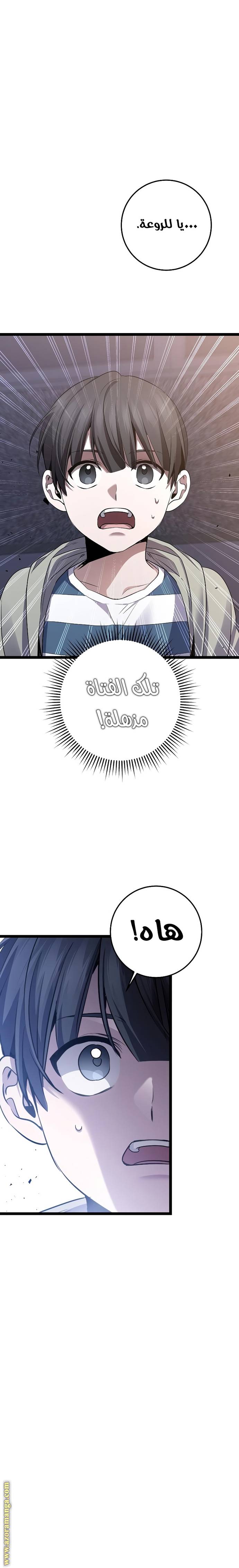 الصفحة 26
