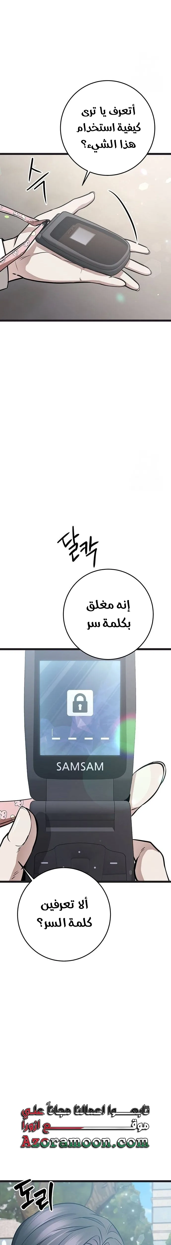 الصفحة 17