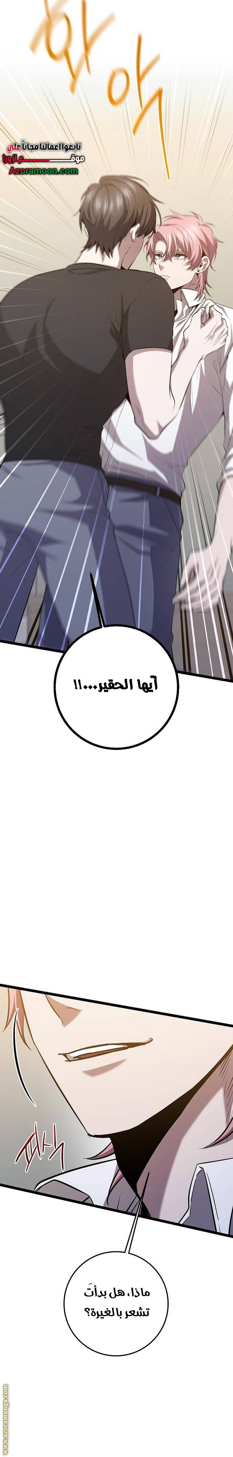 الصفحة 25