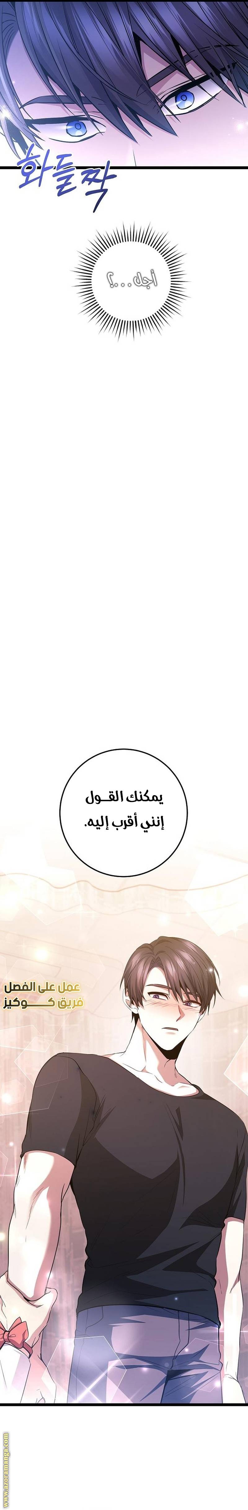 الصفحة 29
