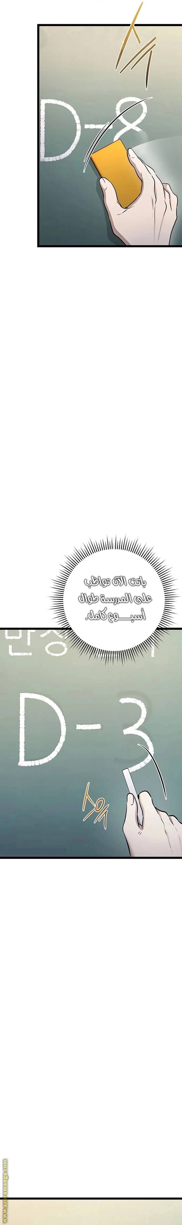 الصفحة 17