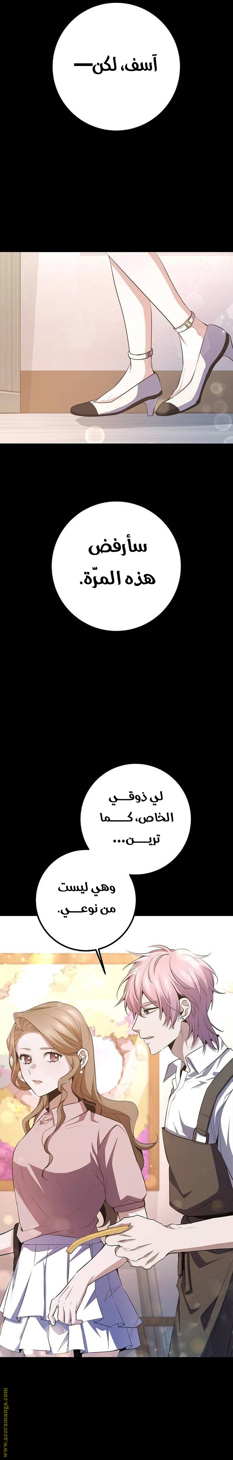 الصفحة 17