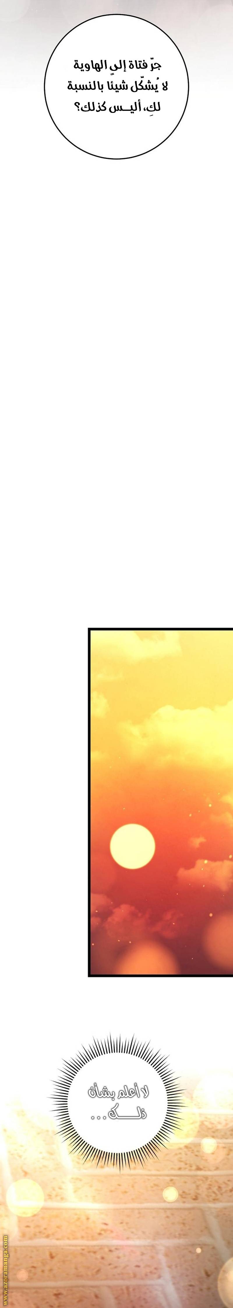 الصفحة 21