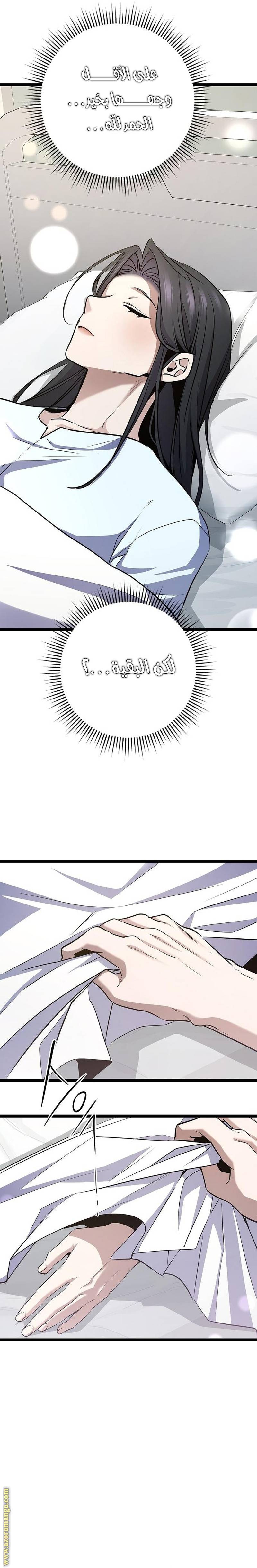 الصفحة 29