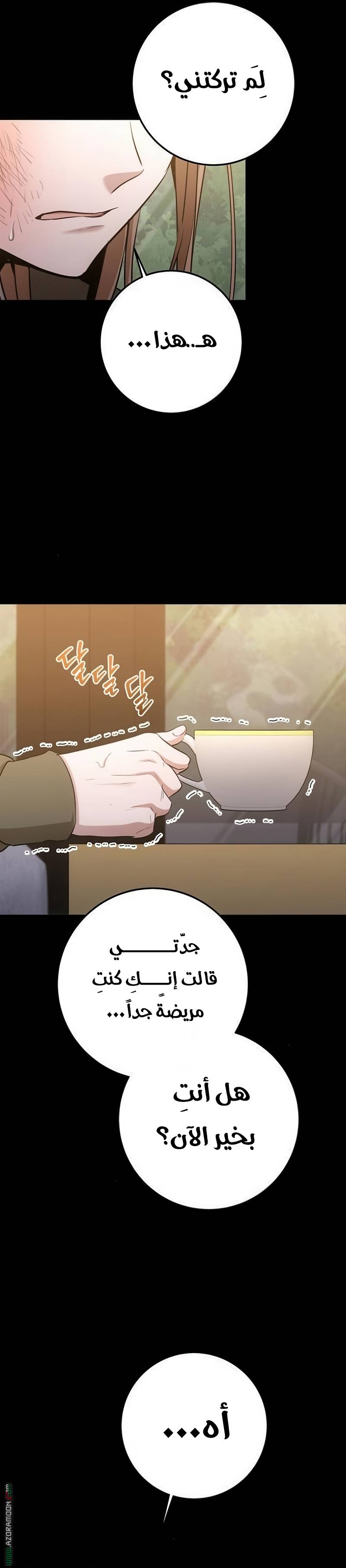 الصفحة 21