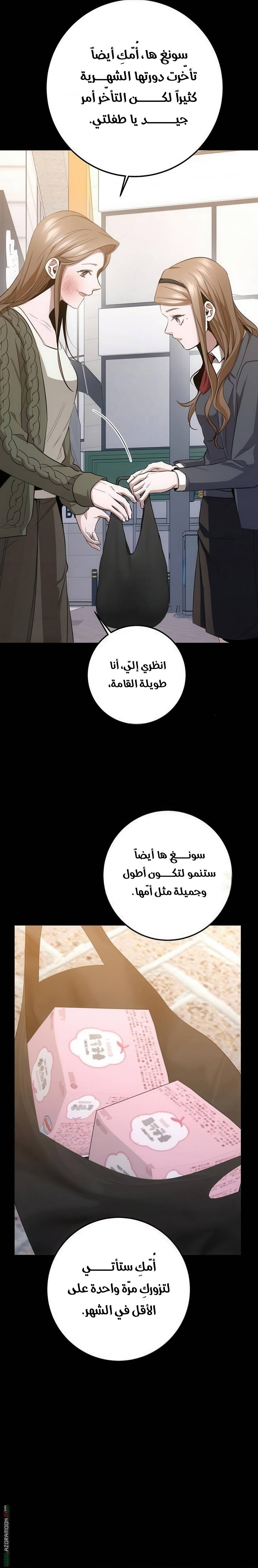 الصفحة 27