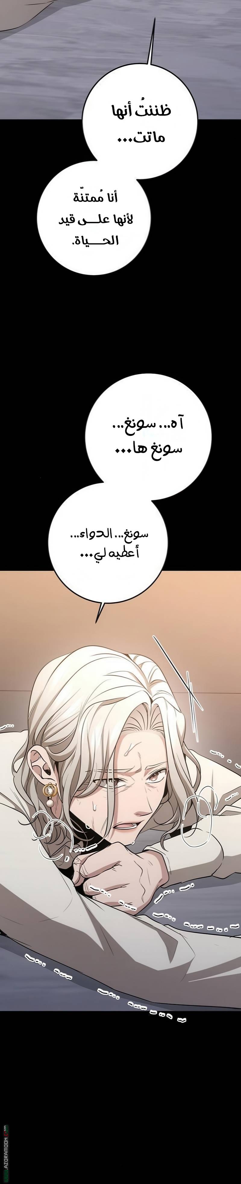 الصفحة 33