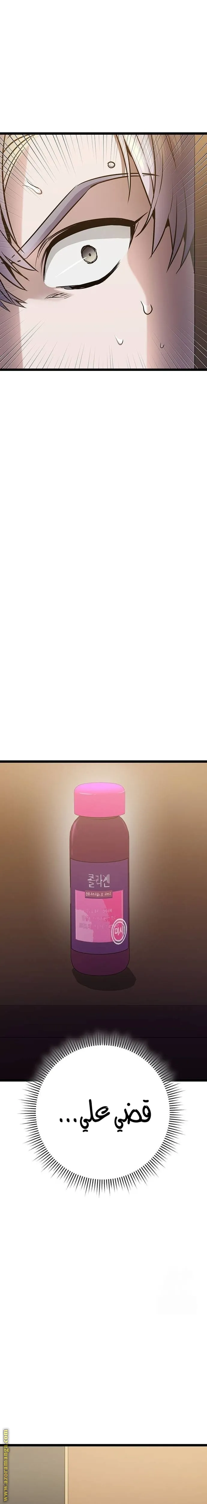الصفحة 13