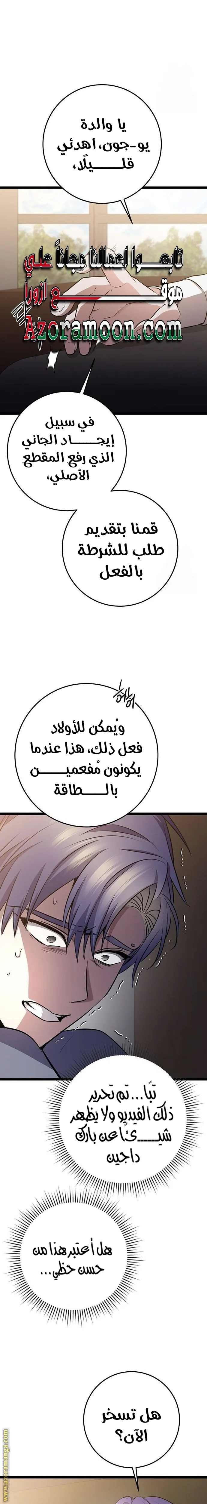 الصفحة 17