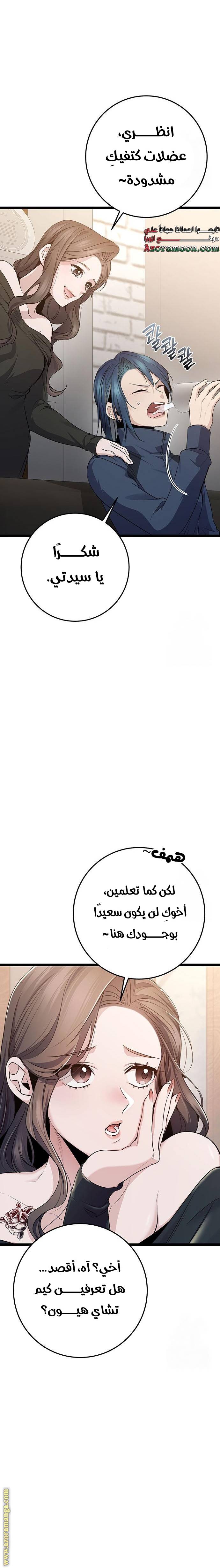 الصفحة 17