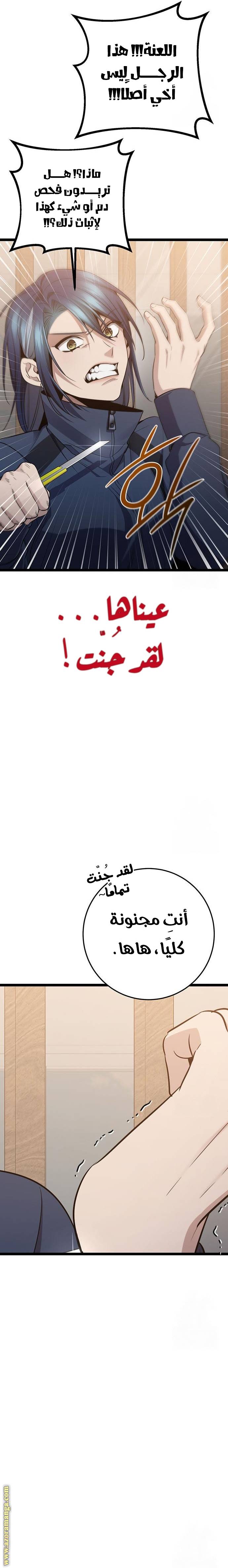 الصفحة 26