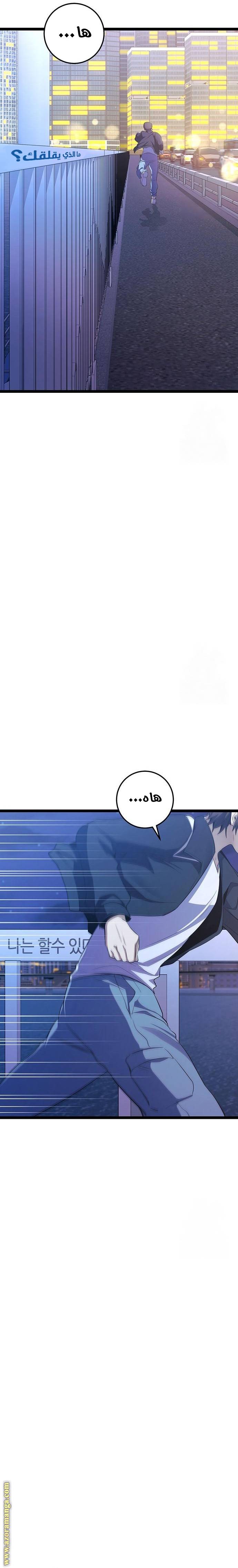 الصفحة 29