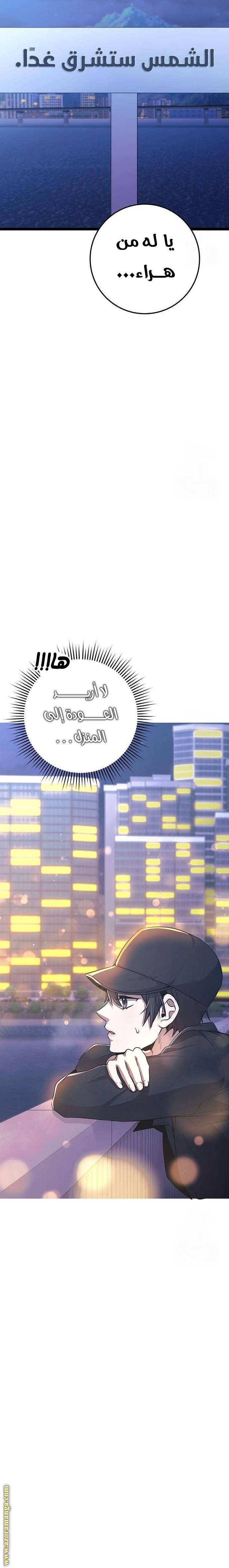الصفحة 31