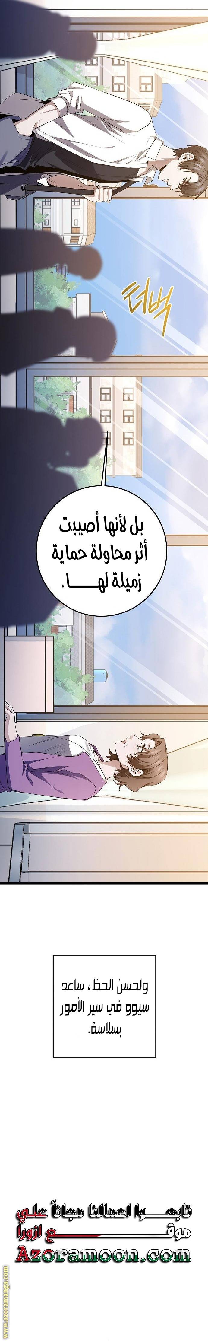 الصفحة 17