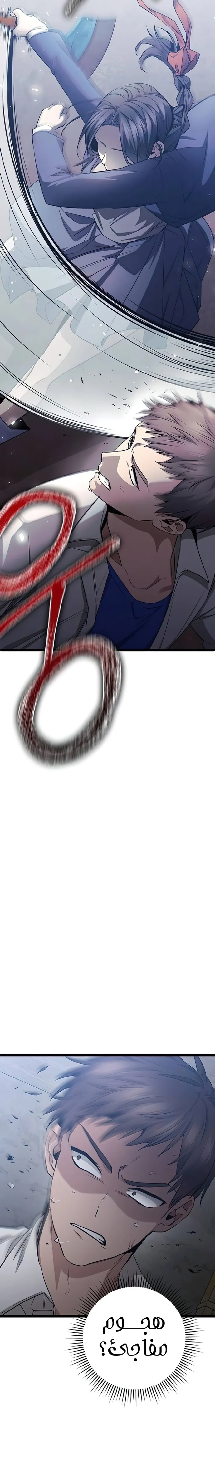 الصفحة 17