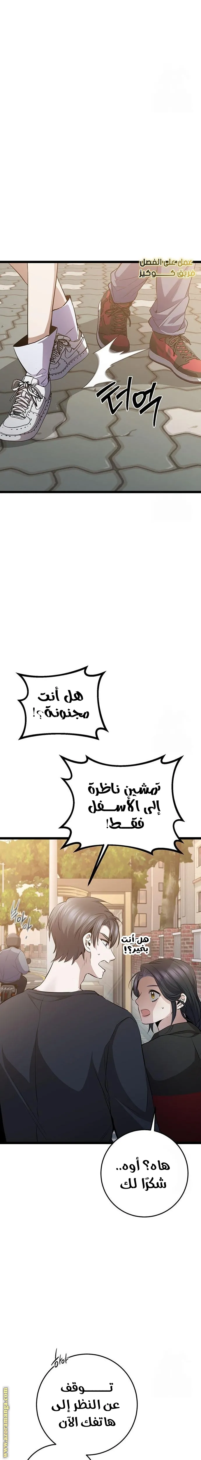 الصفحة 29