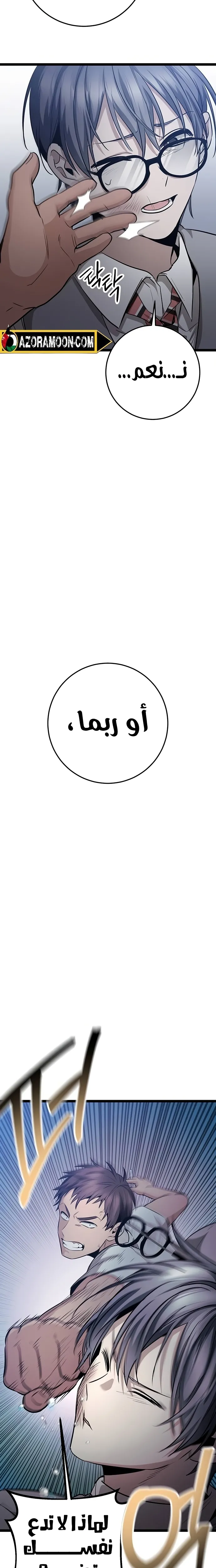 الصفحة 13