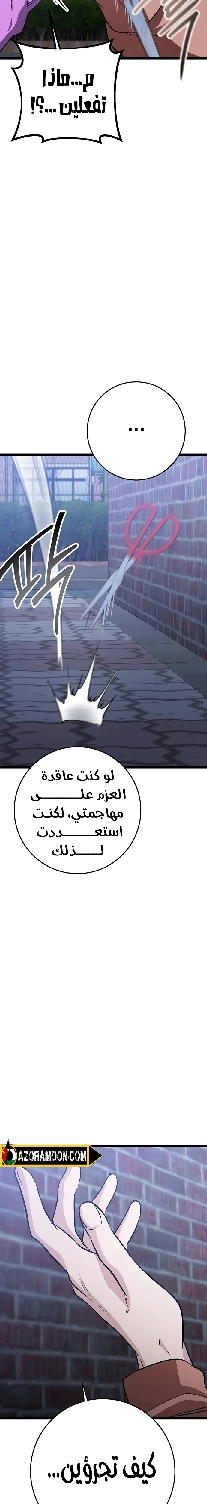 الصفحة 33