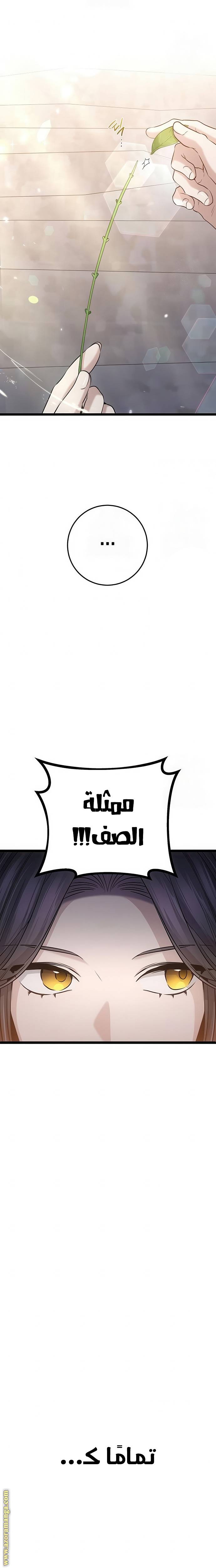 الصفحة 24