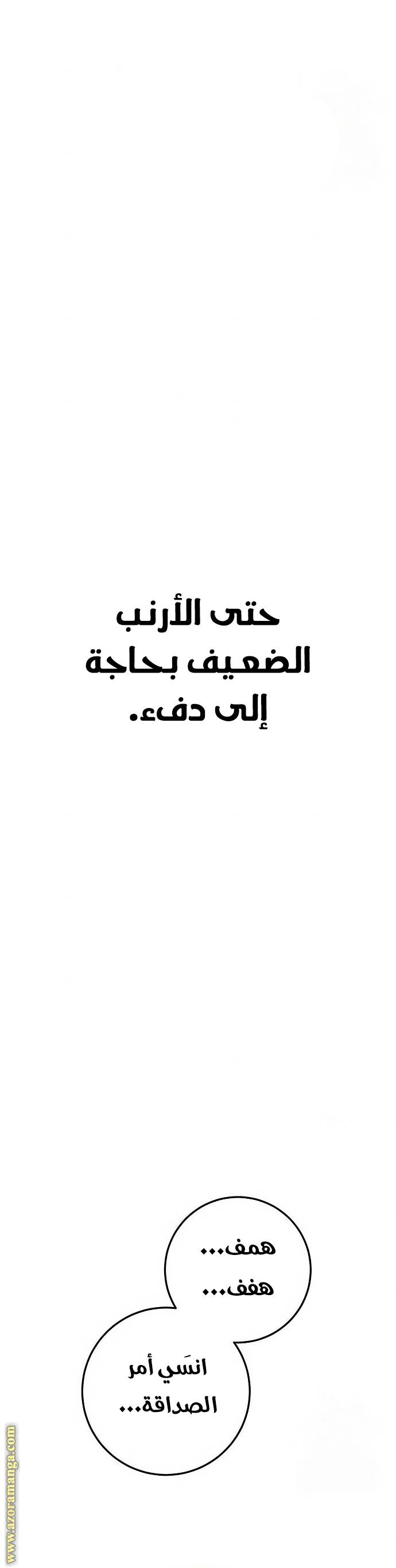 الصفحة 27