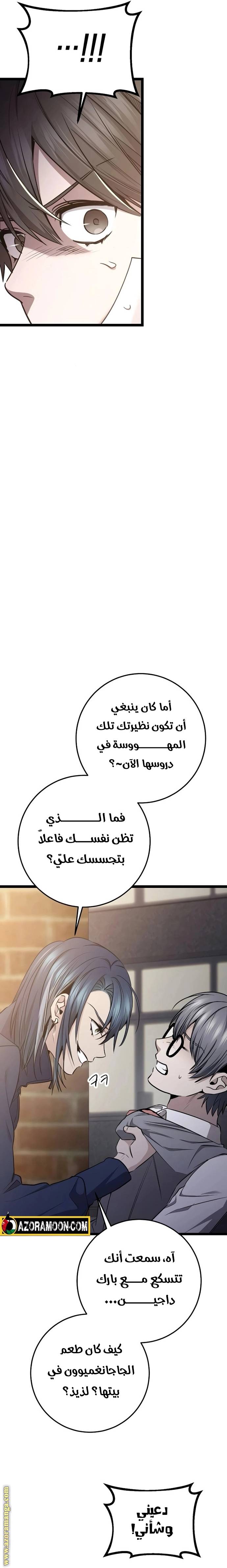 الصفحة 13