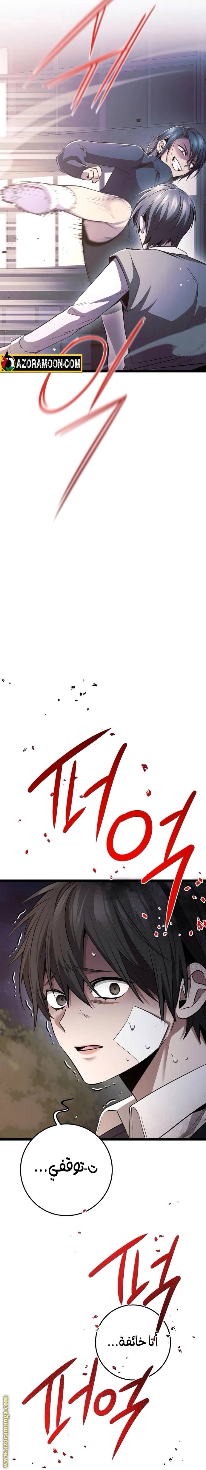 الصفحة 26